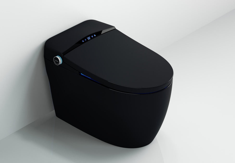 Modern Japanese Ninja Toilet